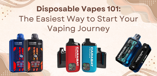 Disposable Vapes 101: The Easiest Way to Start Your Vaping Journey
