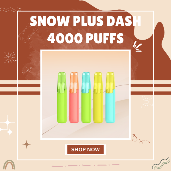 Snow Plus Dash 4000 Puffs